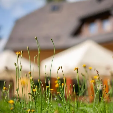 Idylla 3* פרסצ'קה