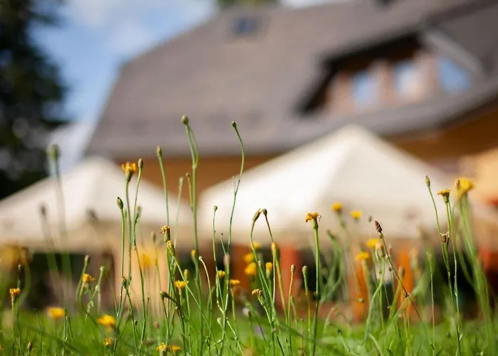 Idylla 3* פרסצ'קה